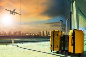 Travel Freely